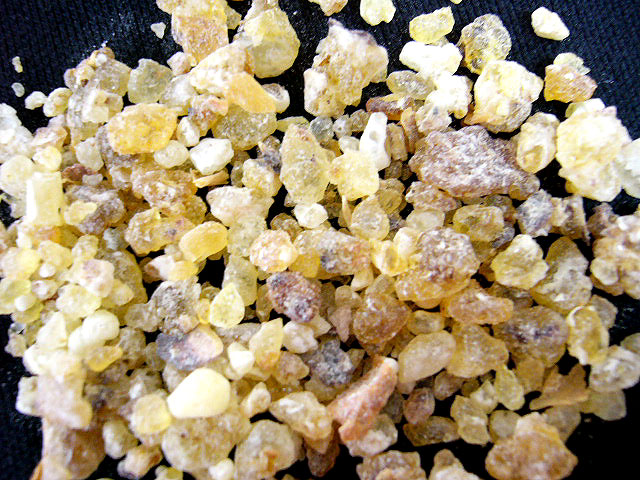 Frankincense Pieces Frankincense Pieces
